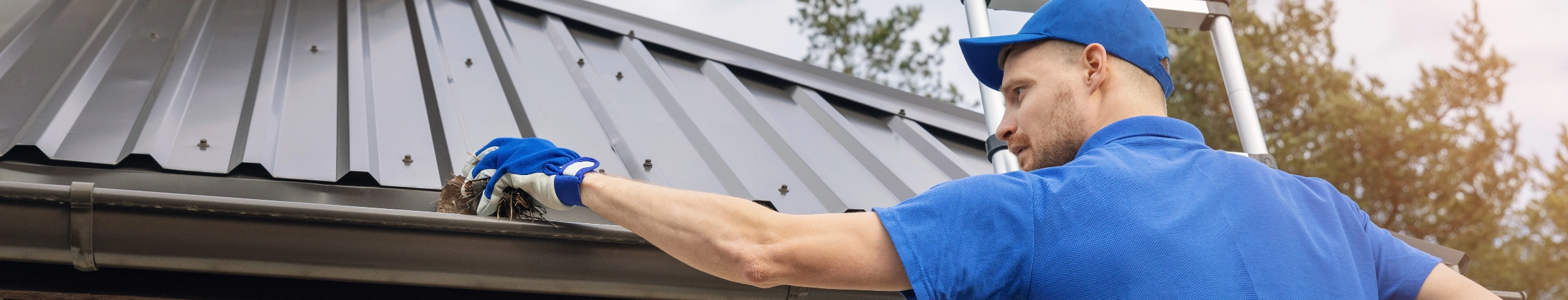 Image Gallery tec-nut.com for London Guttering Services -   Gutter guards,  Gutter repairs,  Gutter cleaning,  Downpipe repairs, Website Builder, No Coding Website, Free Website, Best Website Builder, easy website, New Company, Simple Website, Tec-Nut.com Websites